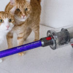 1600-violetfleur-violet-fleur-nadjanemetz-nadja-nemetz-austrianblogger-austrian-blogger-beautyblogger-fashionblogger-modeblogger-dyson-dysonv10-v10-animal-ad-kooperation-werbung-cyclone-18